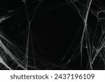 Creepy white cobweb on black background, space for text