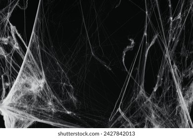 Creepy white cobweb on black background, closeup