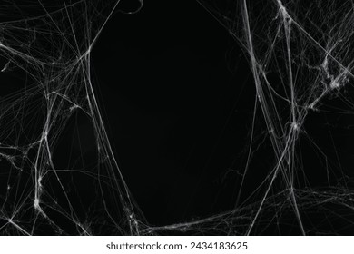 Creepy white cobweb on black background. space for text