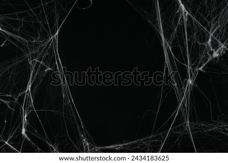 Creepy white cobweb on black background. space for text