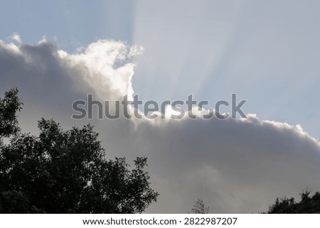Crepuscular rays breaking through a dark cloud layer illuminating a bright sky