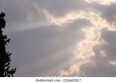 Crepuscular Rays In A Cloudy Sky