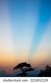 Crepuscular Rays With Mt. Fuji From Miura Peninsula