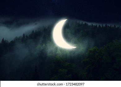 Crescent moon in the forest. Dark night with fog