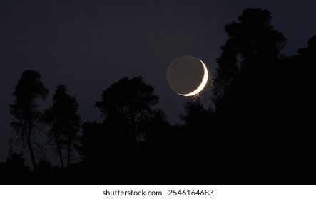 A crescent moon illuminates the night sky, casting a serene glow above a group of silhouetted trees, creating a tranquil and picturesque evening scene. - Powered by Shutterstock