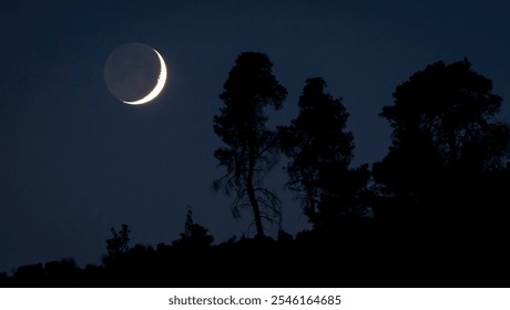 A crescent moon illuminates the night sky, casting a serene glow above a group of silhouetted trees, creating a tranquil and picturesque evening scene. - Powered by Shutterstock