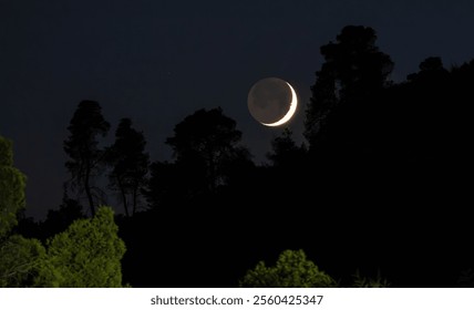 A crescent moon illuminates the night sky, casting a serene glow above a group of silhouetted trees, creating a tranquil and picturesque evening scene. - Powered by Shutterstock