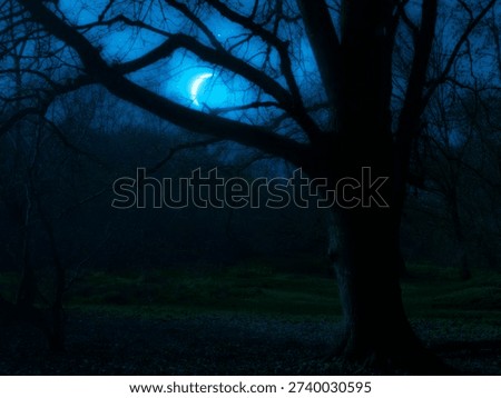 Crescent moon shining through tree branches at night. Dreamy landscape with moon in the sky over spring forest.