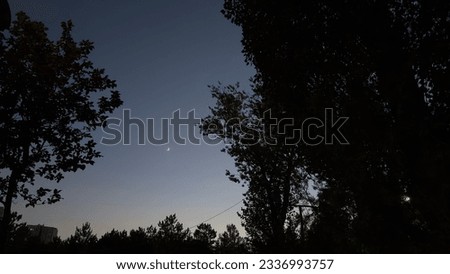 Crescent moon in the sky at night with tree silhouttes