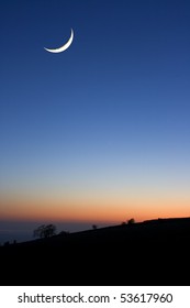 A Crescent Moon At Sunset Above Silhouetted Trees