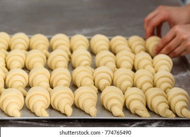 Crescent Rolls Before Baking. Worker Is Placing Croissants On A Tray And Baking It In The Oven. Pastry Goods, Bakery, Patisserie Shop.