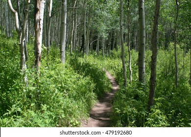 Crested Butte, CO
