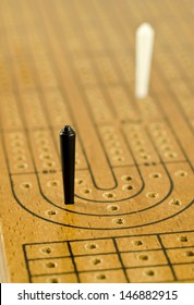 Cribbage Board