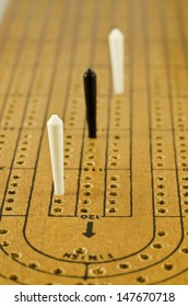 Cribbage Board