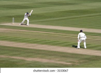 Cricket action
