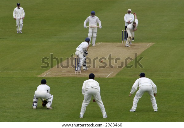Cricket\
action