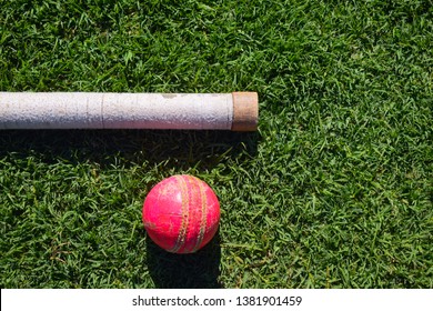 163 Cricket Stamp Stock Photos, Images & Photography | Shutterstock