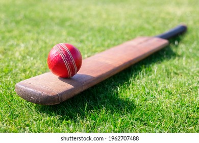 Cricket ball and cricket bat on green grass of cricket ground
