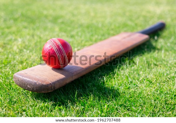Cricket ball and cricket bat on green grass of\
cricket ground