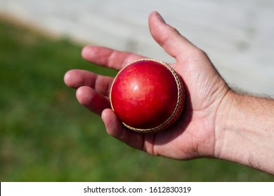 Cricket Ball In Hand During Game