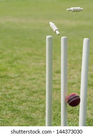 Cricket Ball Hitting Stumps