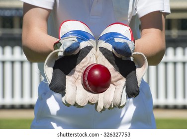 Cricket ball in keepers gloves - Powered by Shutterstock