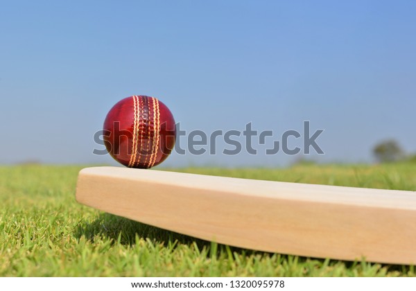 Cricket ball on\
cricket bat on green grass\
field.