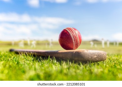 Cricket ball on top of old wooden cricket bat on green grass of cricket ground background - Powered by Shutterstock