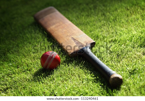 Cricket bat\
and ball on green grass of cricket\
pitch