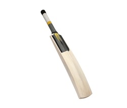 Cricket Bat Isolated On White Background