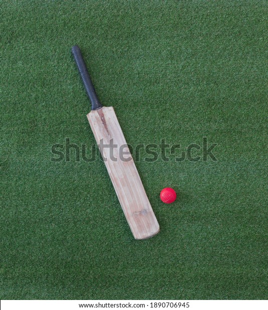 cricket bat on green\
grass