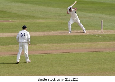 Cricket batsman and fielder