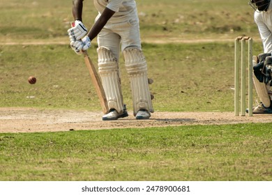 Cricket batsman is playing defensive stroke - Powered by Shutterstock