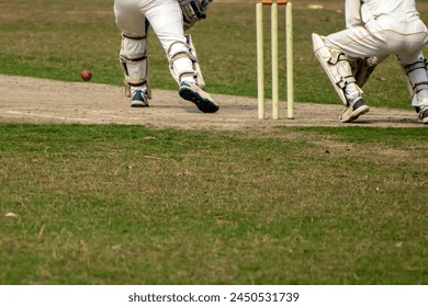 Cricket batsman is playing forward defensive stroke - Powered by Shutterstock