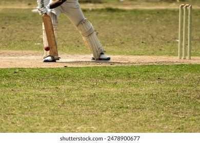 Cricket batsman is playing forward for defensive stroke - Powered by Shutterstock