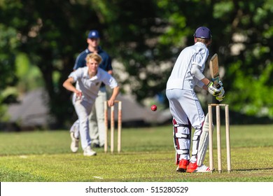 Cricket Batting Bowler Action
Cricket game teenagers schools game batsman bowler action photo.