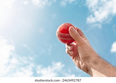 Cricket bowler about to bowl the ball against blue sky - Powered by Shutterstock