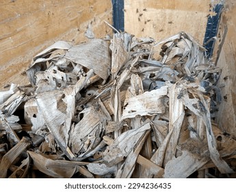 cricket cage filled with dried banana leaves - Powered by Shutterstock