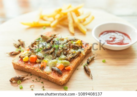 Cricket, Edible insects with carrots, peas, corn, mozzarella cheese in a sliced bread and french fries on a wooden tray. Close-up, Selective focus