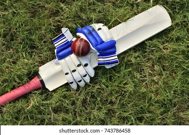 Cricket gloves and bat on green grass - Powered by Shutterstock