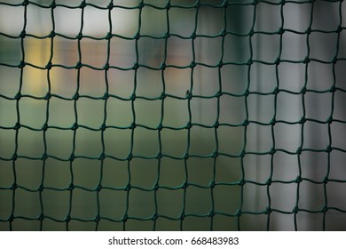 cricket green nets closeup