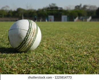 Cricket ground game