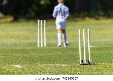 Cricket Junior Bowler Wickets Abstract
Cricket Junior Game Abstract Teenager Player Bowler Wickets Pitch Unidentified Action Landscape