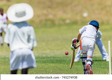 Cricket Junior Game Action
Cricket Games Teenagers Players Batsman Ball Unidentified Abstract Action Landscape