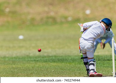 Cricket Junior Game Action
Cricket Games Teenagers Players Batsman Ball Unidentified Abstract Action Landscape