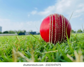 Cricket Leather Ball on Green Grass - Powered by Shutterstock