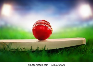 cricket leather ball resting on bat on the stadium pitch bright stadium lights projecting on red leather ball