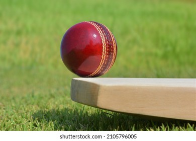 cricket leather ball resting on cricket bat on the cricket stadium pitch - Powered by Shutterstock