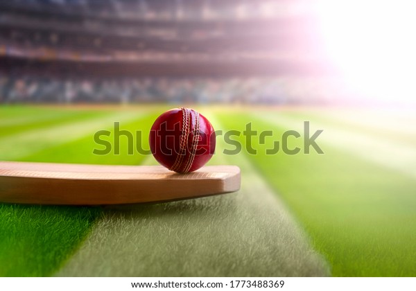 cricket\
leather ball resting on bat on the stadium\
pitch