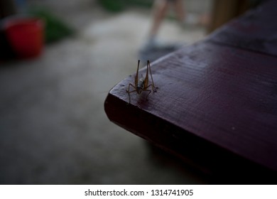 Summer Cabin Images Stock Photos Vectors Shutterstock